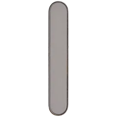Camera Control Button For iPhone 16 Pro / 16 Pro Max (Natural Titanium)