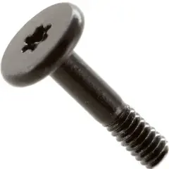Screw Set (USB-C Board) Compatible For Mac mini (2024) (5 Pack) (Genuine OEM)