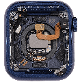 Housing Assembly Compatible For Watch Series 6 (40MM) (Used OEM Pull: Grade A) (Aluminum/Blue) (Cellular Version)