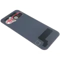 Back Cover Glass With Camera Lens For Google Pixel 9 (Used OEM Pull: Grade A) (Peony)