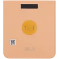 Back Cover Glass For Motorola Razr Plus / Razr 50 Ultra (XT2451 / 2024) / Razr Plus 2025 (XT2557 / 2025) (Premium) (Peach Fuzz)