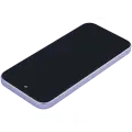 OLED Assembly With Frame Compatible (With Fingerprint Sensor) For Google Pixel 9A (Refurbished) (Iris)