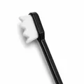 Anti-Static Electronics Cleaning Brush with Ultra-Fine Waved Bristles(PolarTronix)